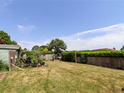 Picture 20